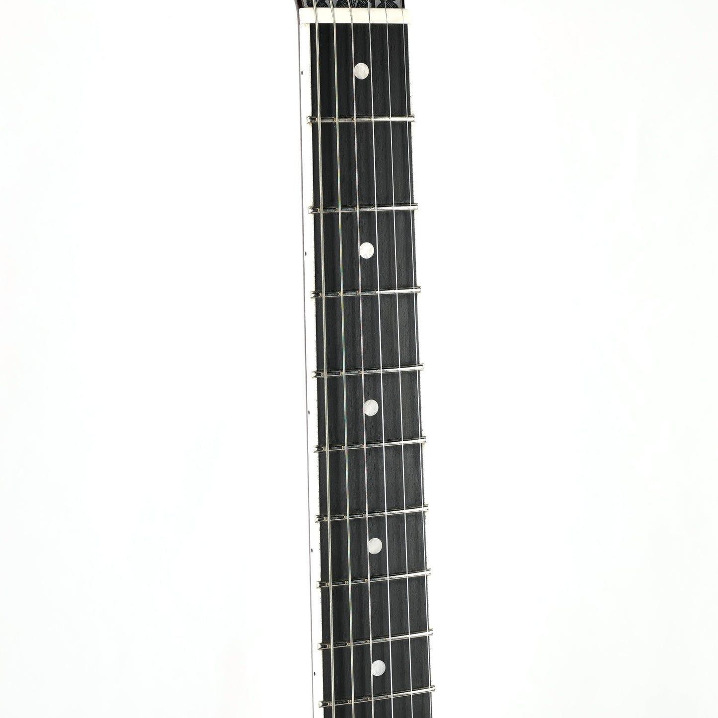 Teye Guitars Fox